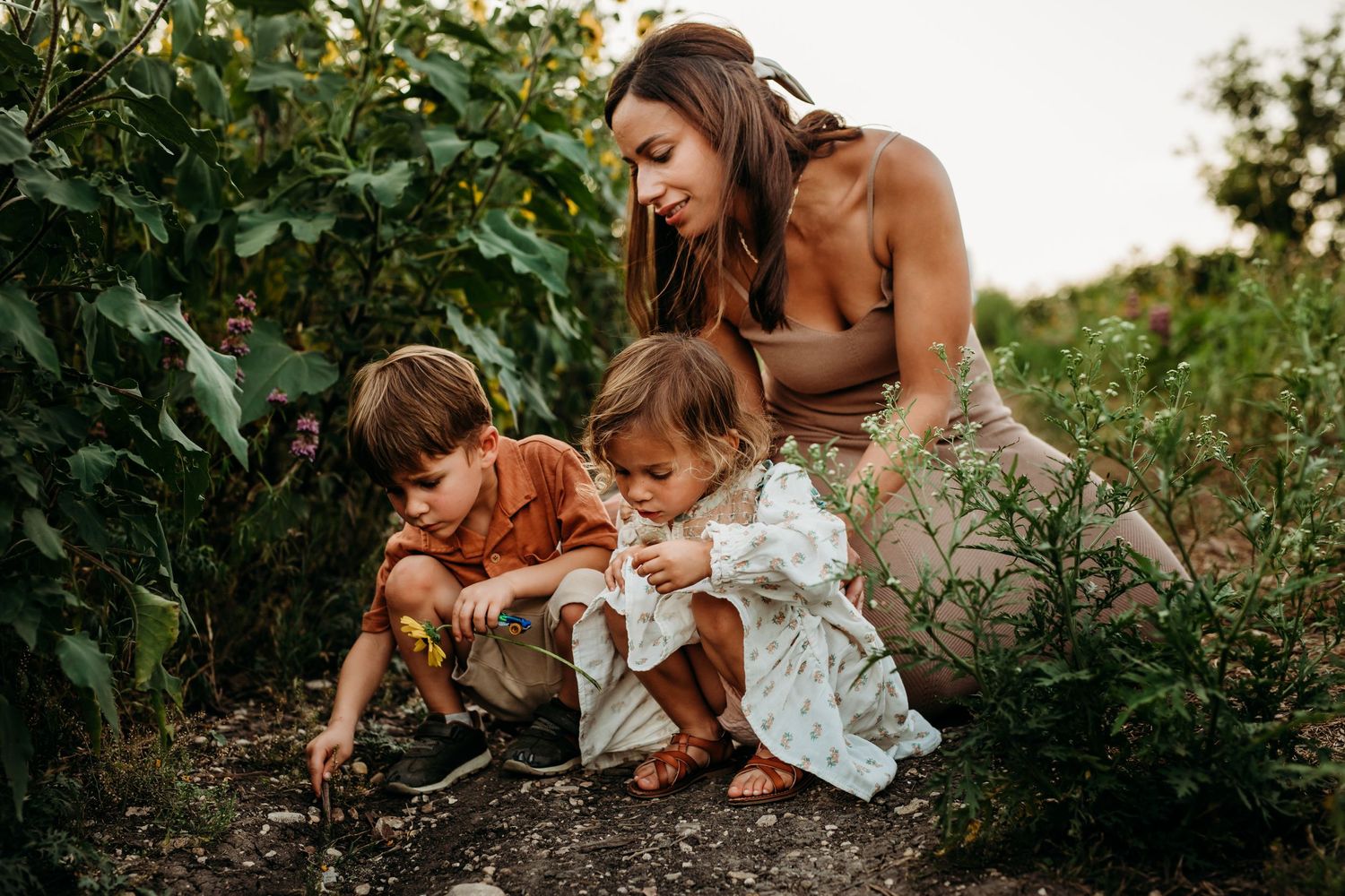 family pictures in wildflowers in New brunfels Texas