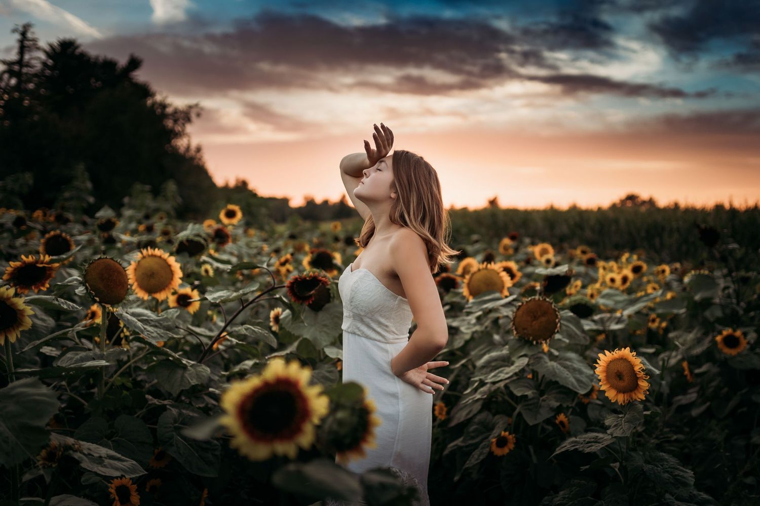senior girl, senior photos, sage and ivy photography, beautiful sunflower field, colony pumpkin patch, Iowa corridor