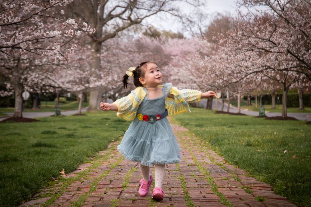 A joyful dancer spreads their arms wide while performing on a brick path among cherry blossoms.