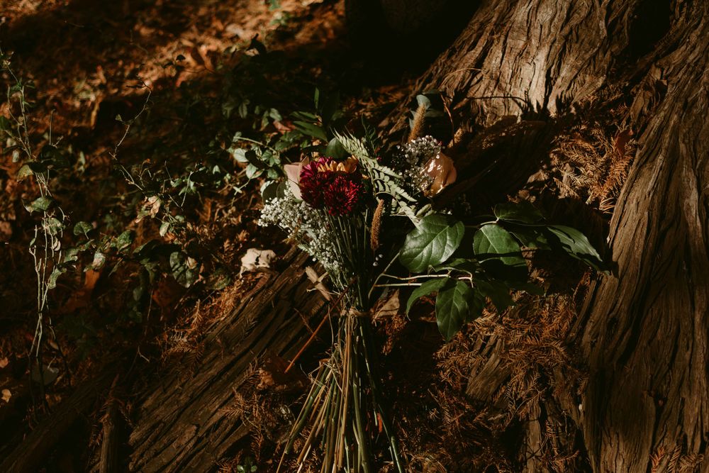 Red roses and greenery lay arranged against rustic weathered wood in moody lighting.