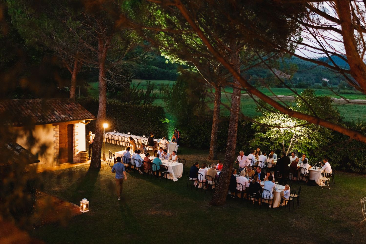 Evening outdoor reception with tables illuminated by warm lighting among tall trees.