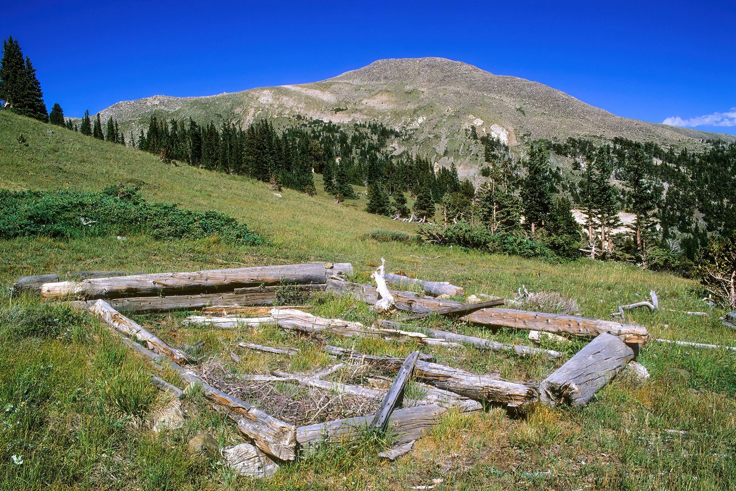 Cree's Camp, Colorado
