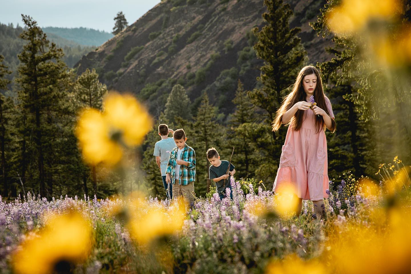 four kids playing up in the mountains amoung many wildflowers near ellensburg, wa