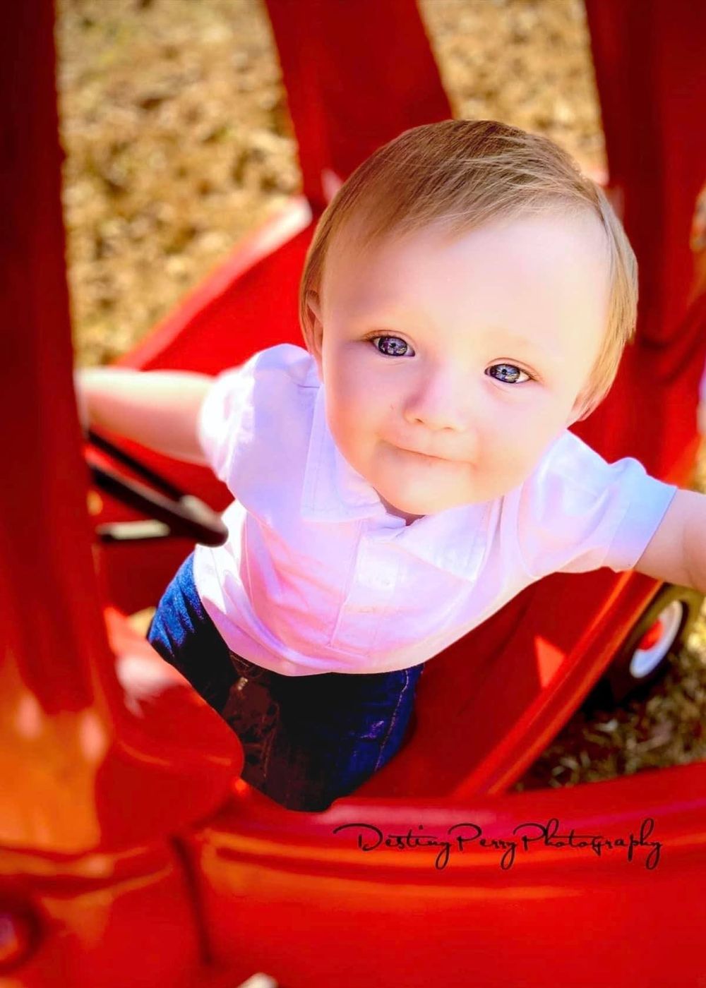Loganville ga photographer, walton county ga photographer, monroe ga photographer,