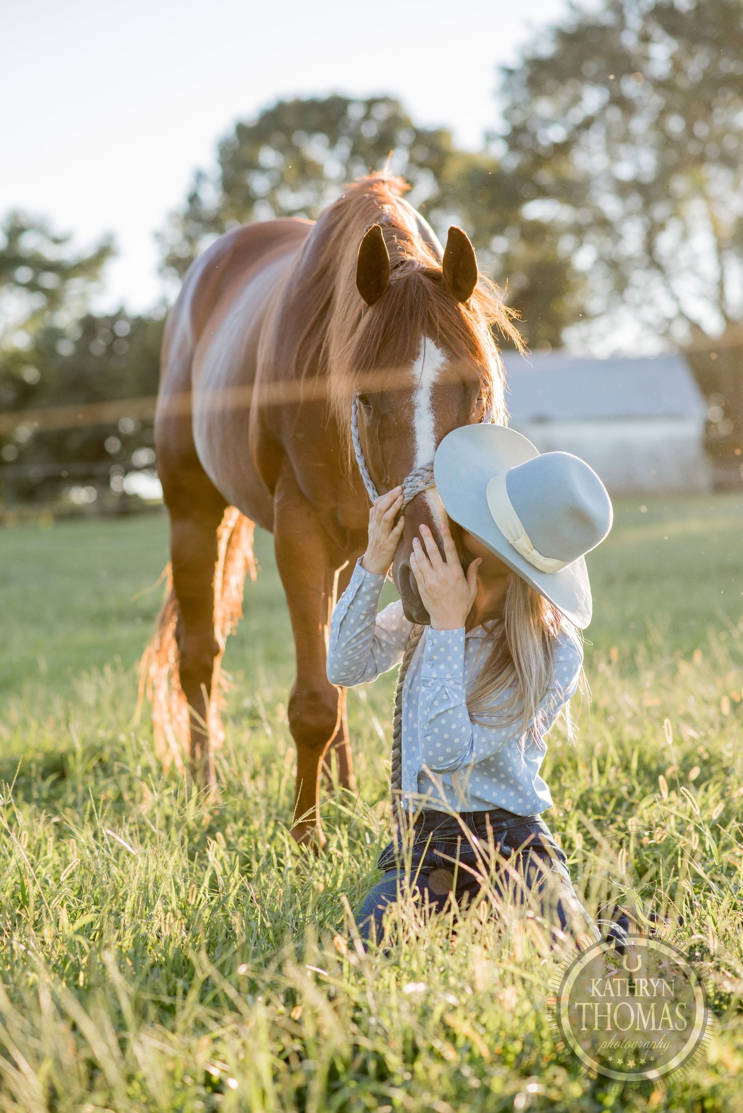 A chestnut horse stands in a sunlit field beside someone wearing a blue polka dot shirt and cowboy hat.