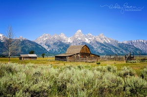 Grand Tetons