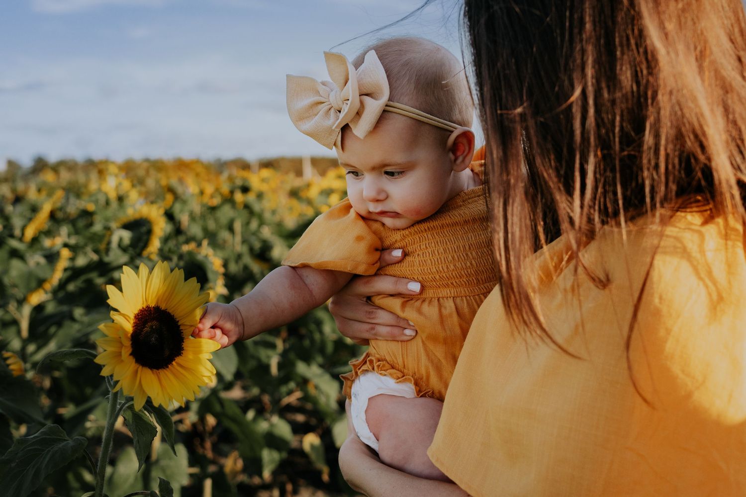 Sunflower Magic: Family & Couple Mini Photo Sessions at Southern Hill Farms in Clermont, FL