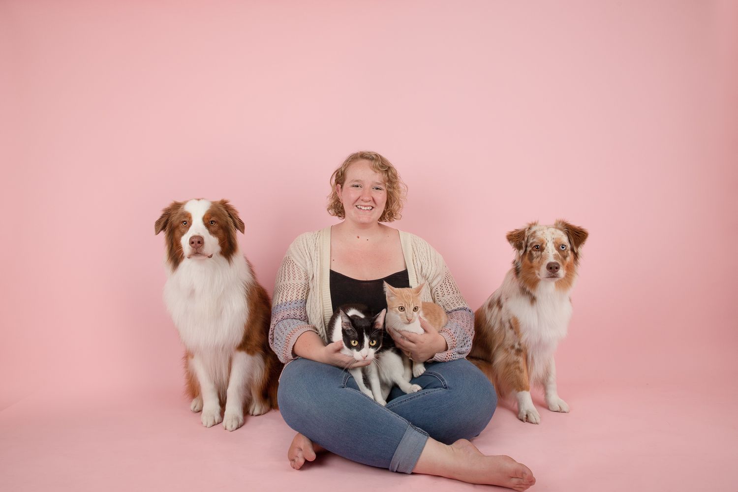 A girl sits in front of a pink backdrop. She holds two cats while two Australian Shepherds sit either side of her