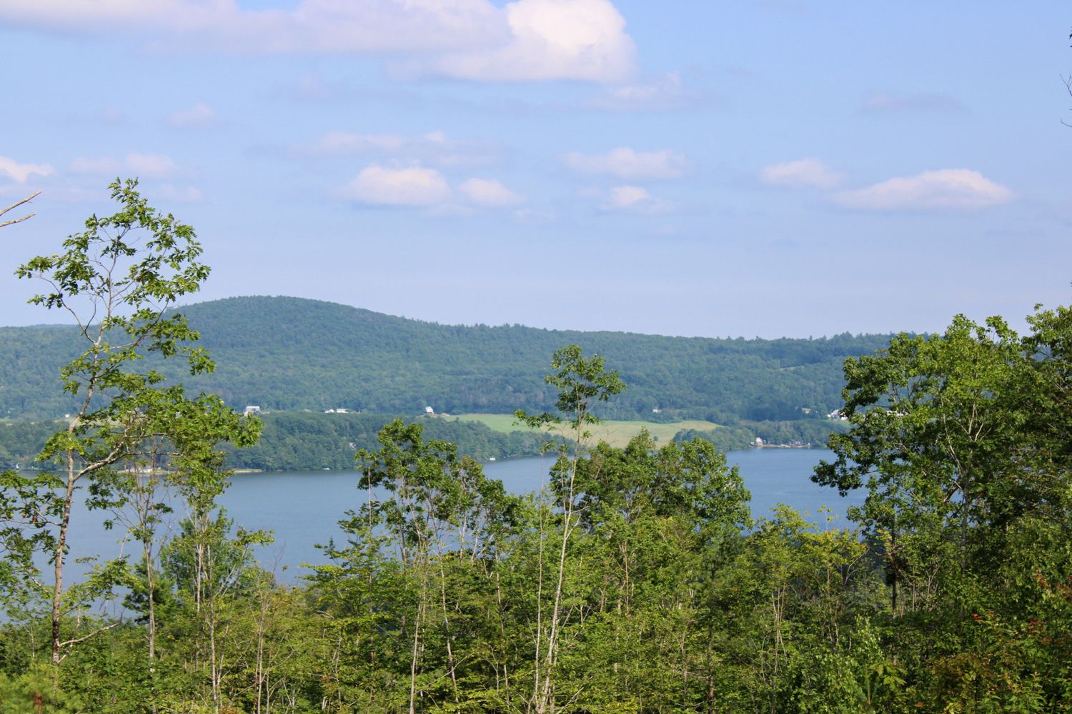 Sabattus Lake Vista of Maine Winery & Cidery, Wedding Venue, Apple