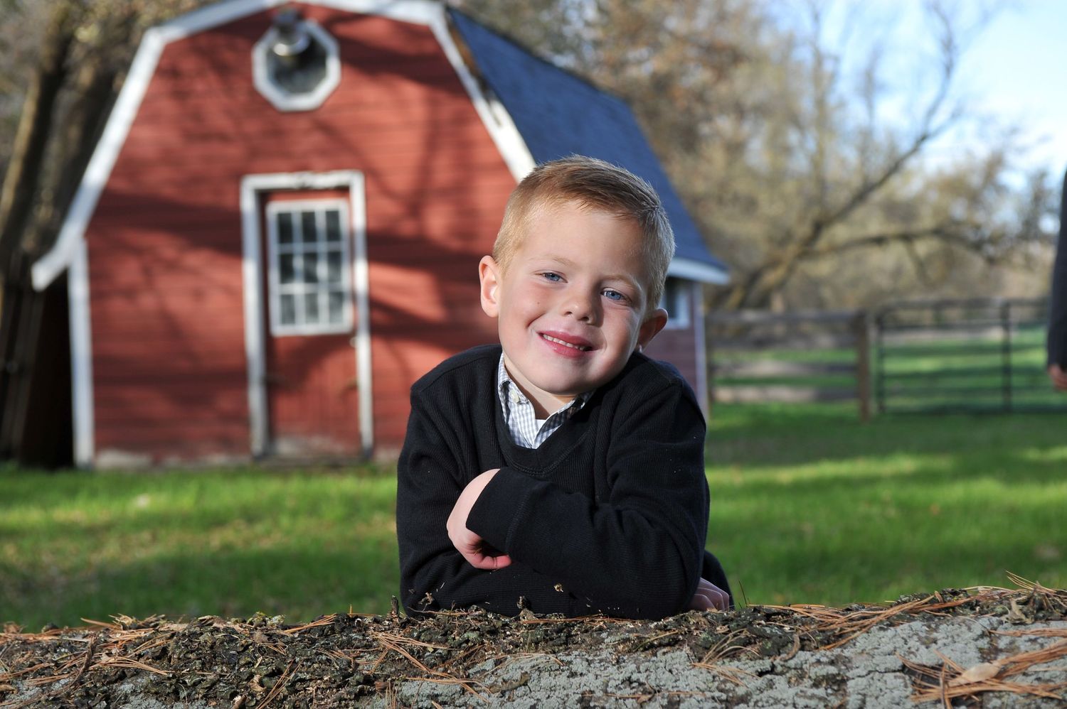 Glen Ellyn Portrait Photographer