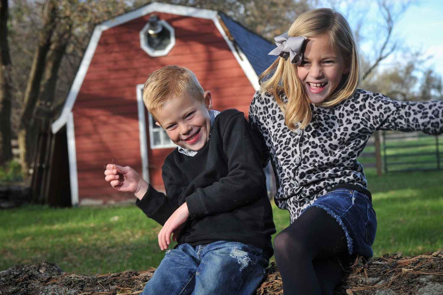 Naperville Portrait Photography