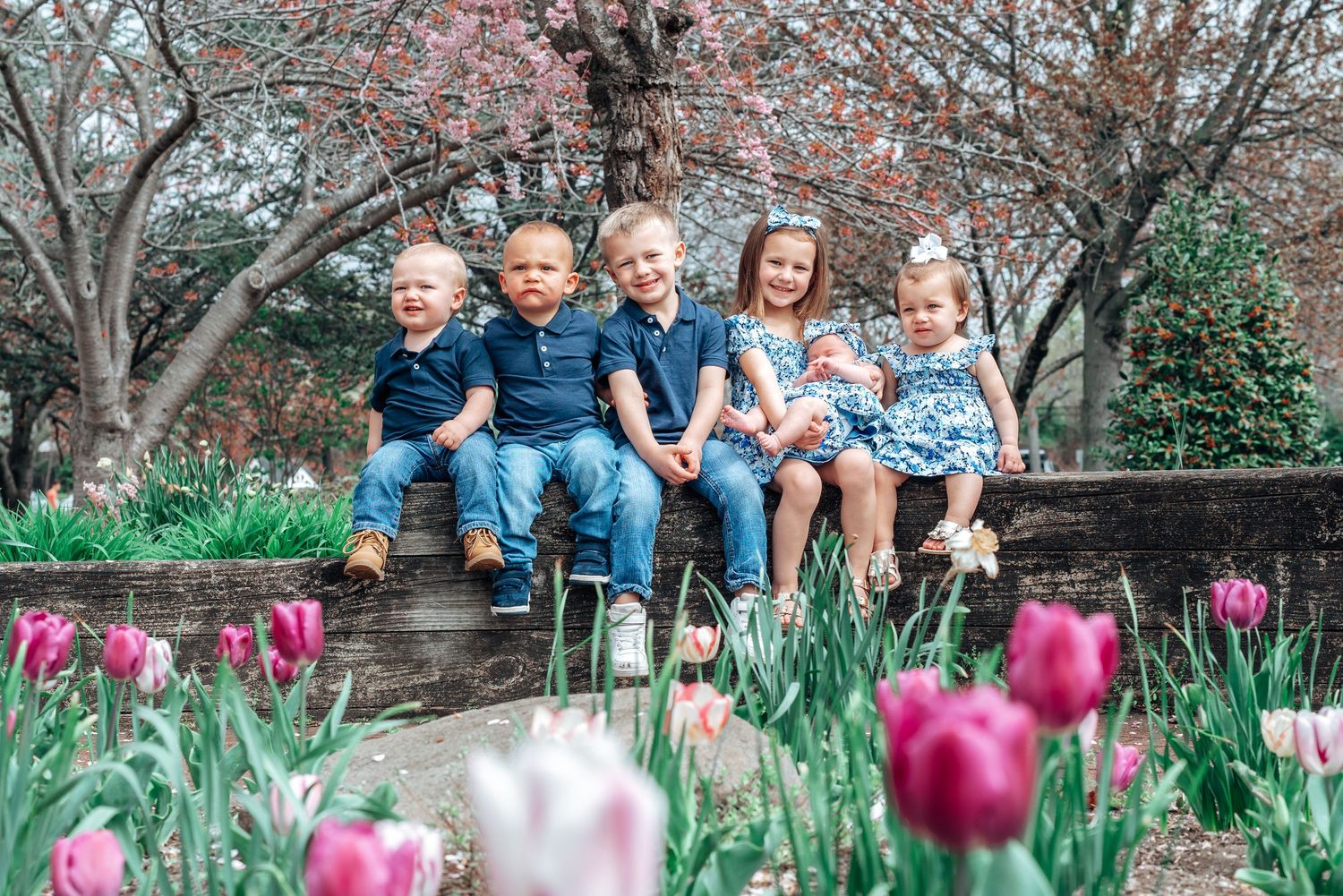 Children sitting together on a wooden bench surrounded by blooming spring tulips and cherry blossoms.