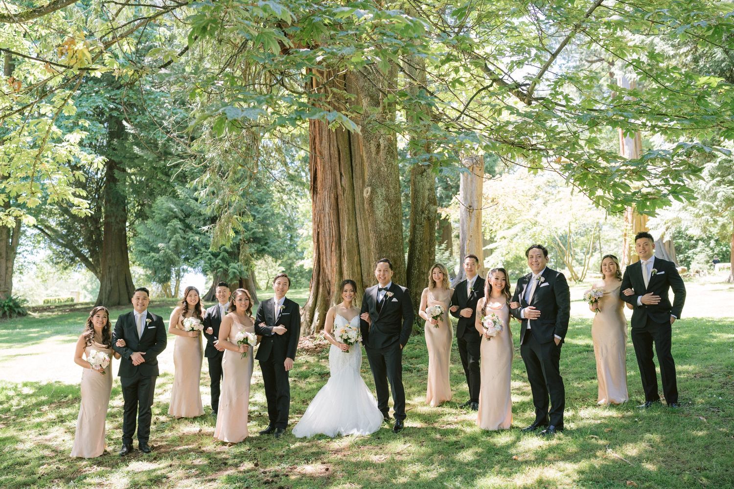 Bride, Groom and Bridal Party Photoshoot at Stanley park, Vancouver