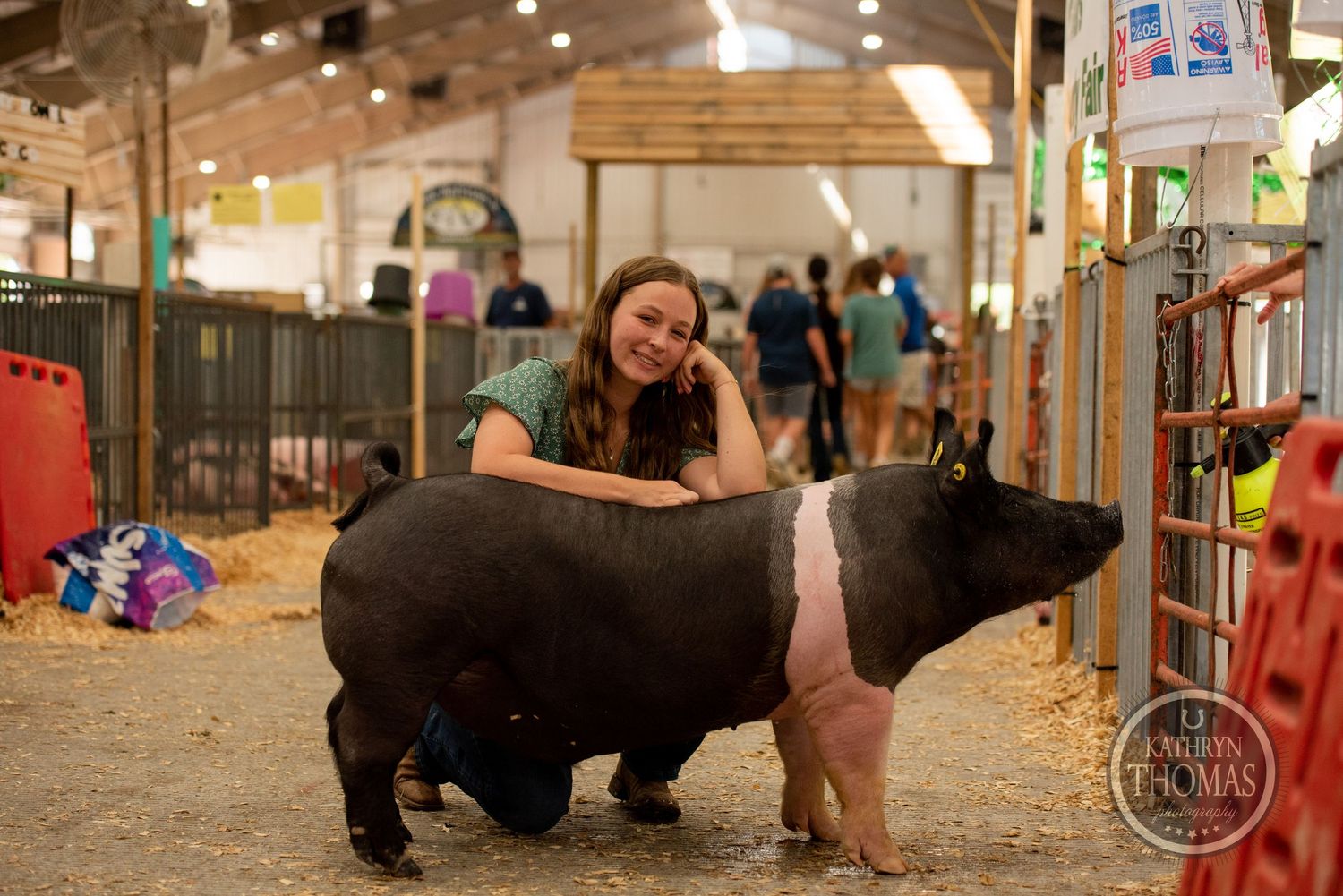 A black and pink Hampshire pig being shown in an indoor livestock exhibition area with colorful decorations.