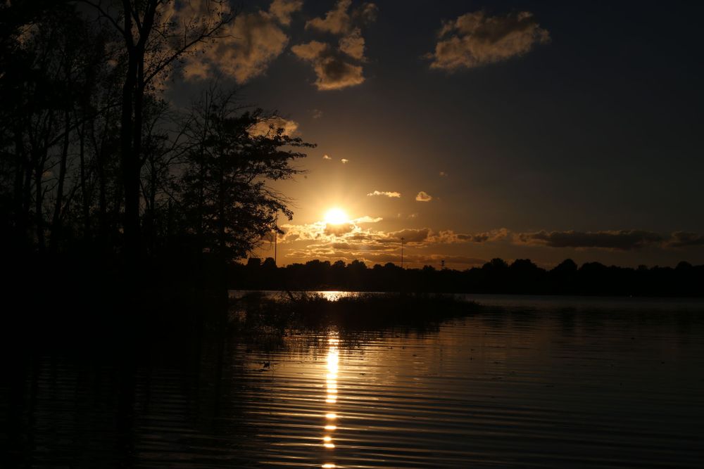 Dramatic sunset over a tranquil lake with silhouetted trees reflecting on the calm water's surface.