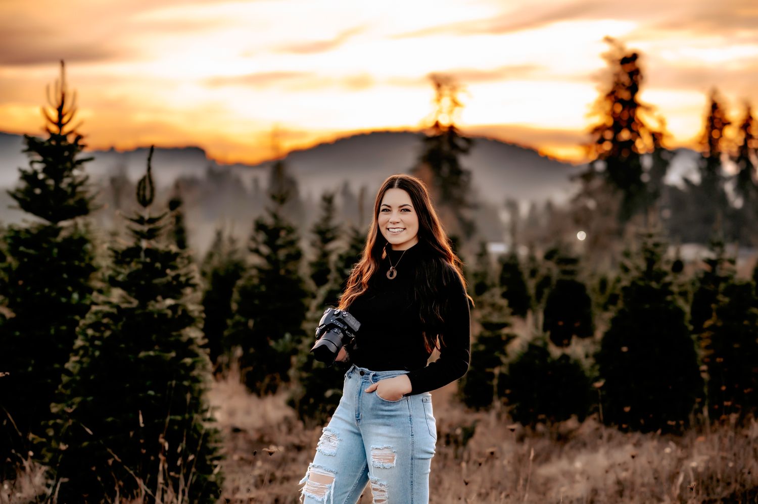 Scenic mountain landscape at sunset with evergreen trees silhouetted against orange sky.