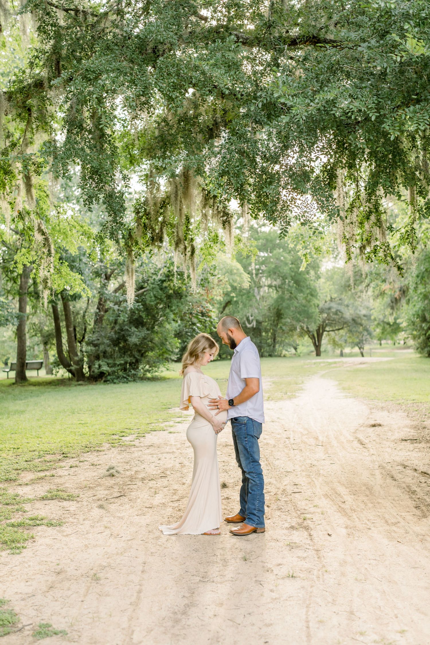 A romantic maternity photoshoot under Spanish moss-draped trees on a dirt path in a peaceful park setting.
