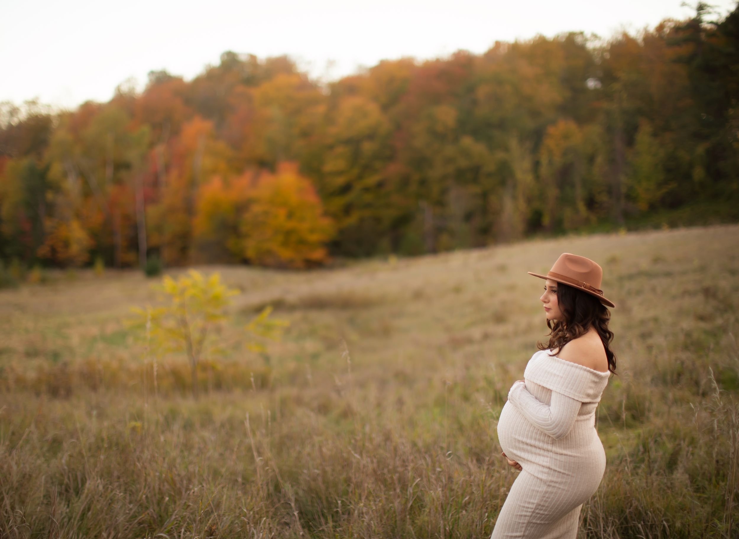 Scenic autumn field with tall grass during golden hour maternity photography session.