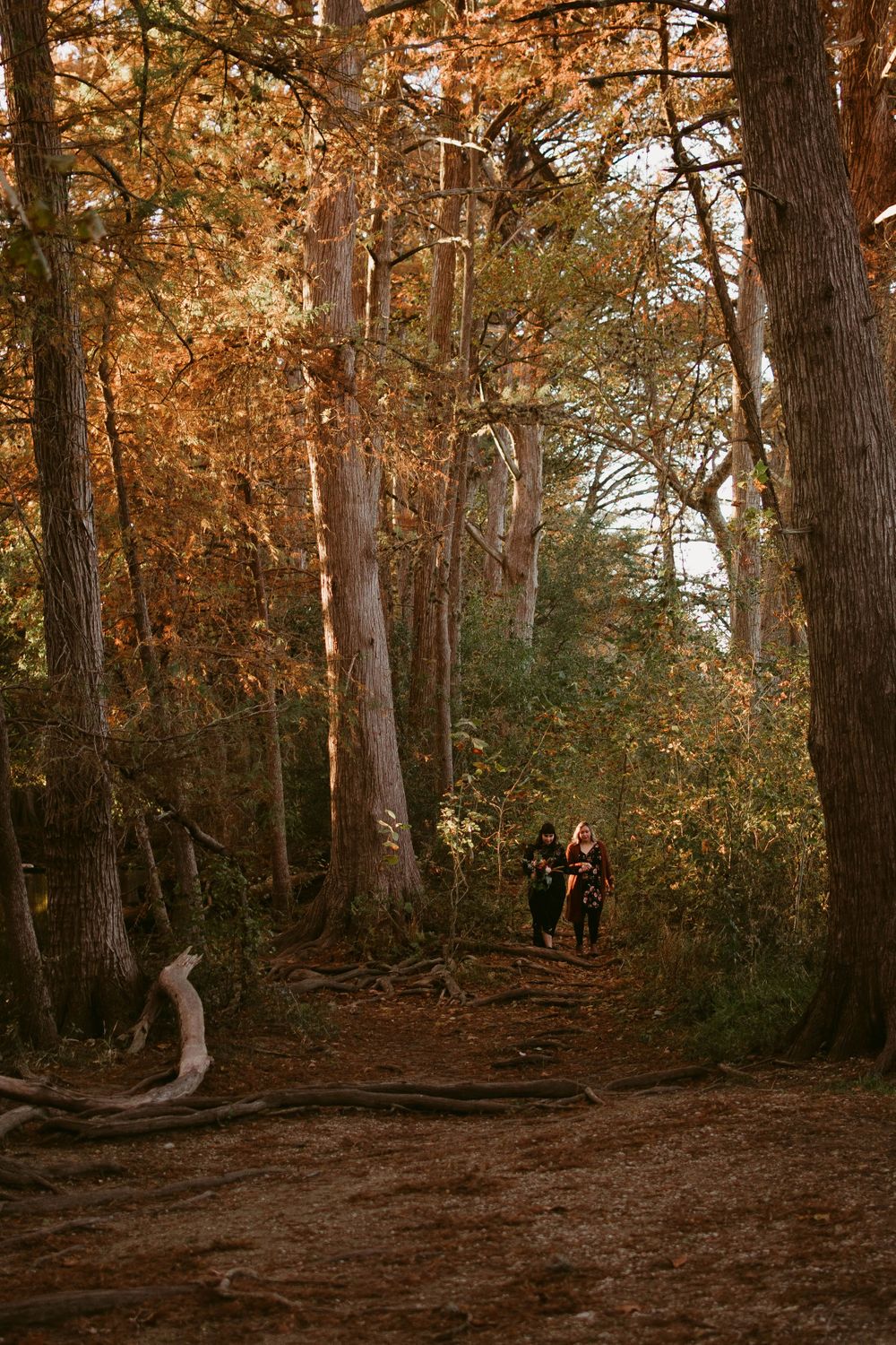 Two figures walk along a wooded forest trail surrounded by autumn foliage and tall trees.