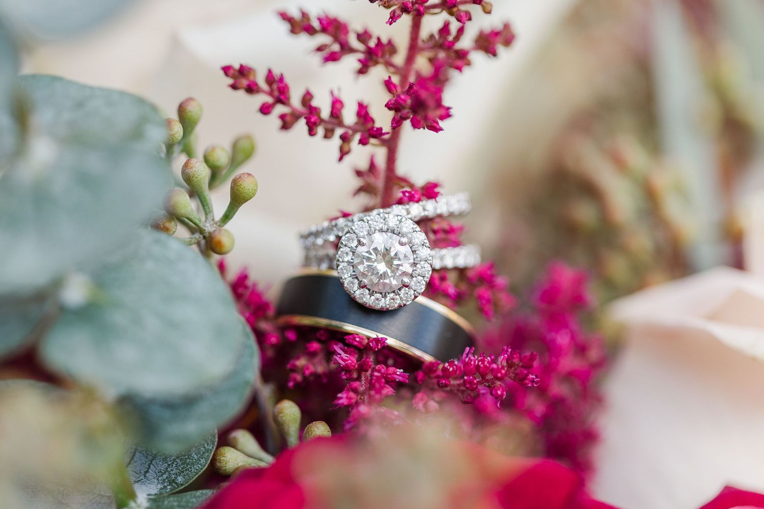 TRANQUILITY FARM NORTHERN VIRGINIA WEDDING PICTURES