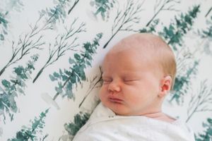 Peaceful sleeping newborn against winter tree pattern background.