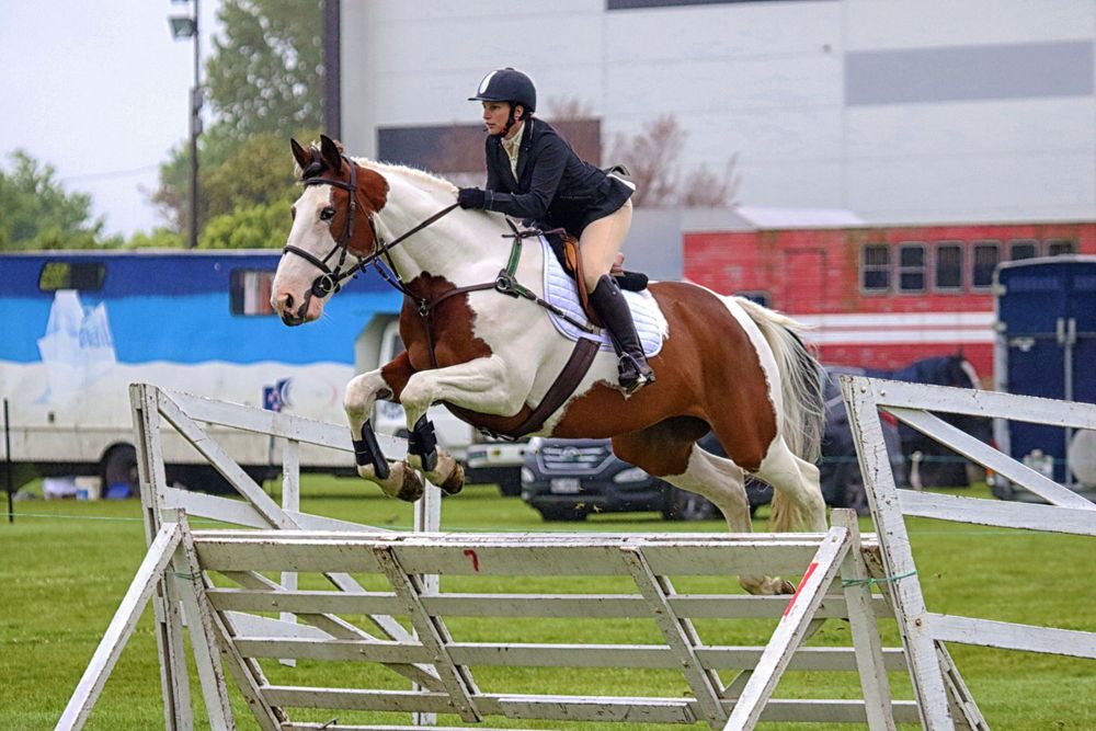 horses