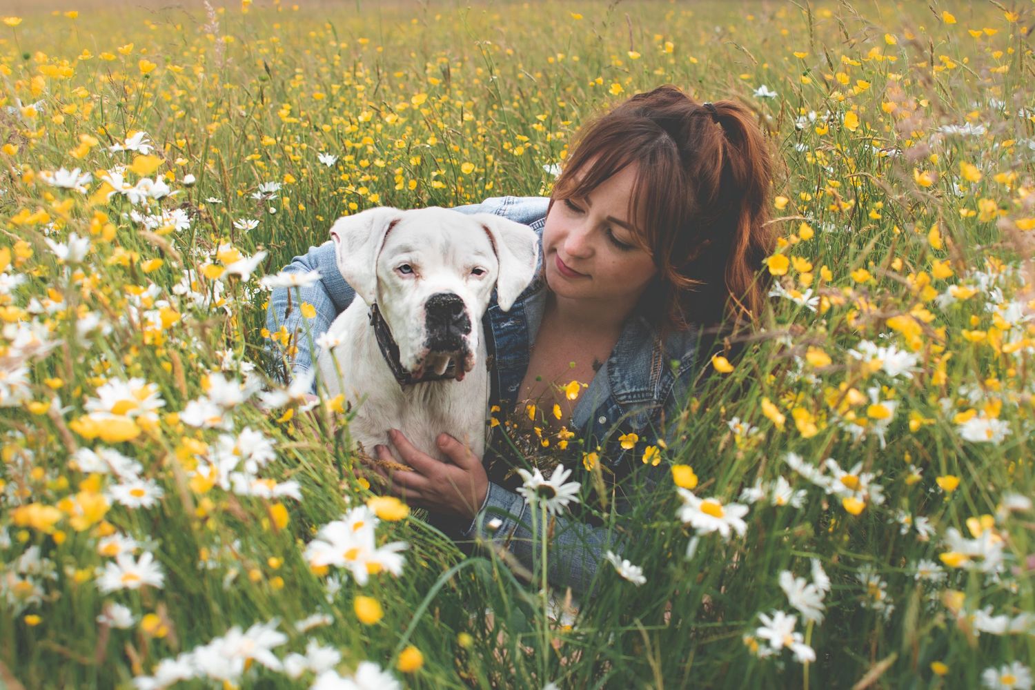 Bellingham Photographer