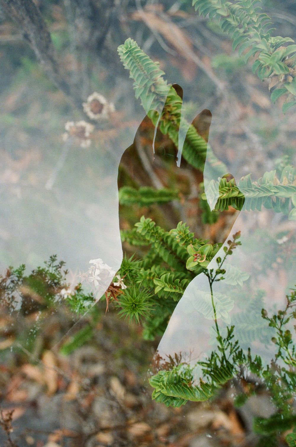 Creative double exposure