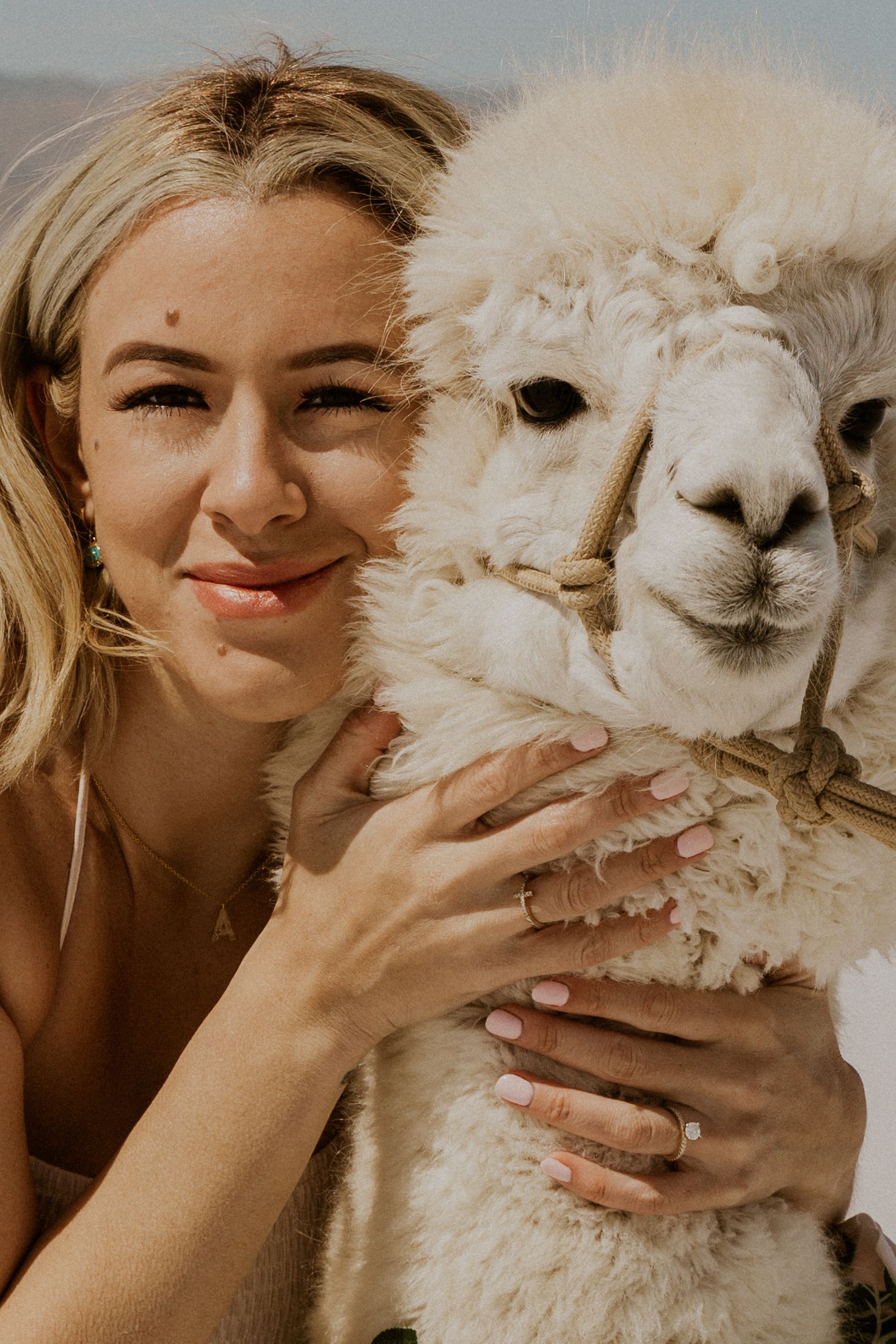 Up-close image of woman hugging a white alpaca's neck. Both are looking at the camera.