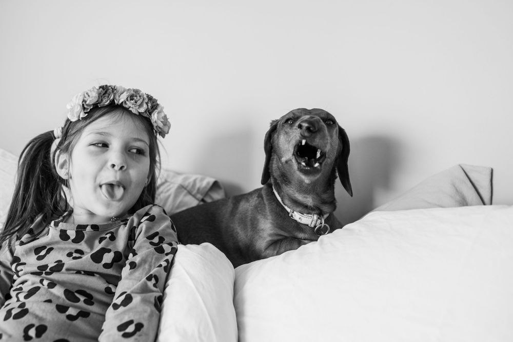 Black and white photo of playful expressions with dog on white bed.