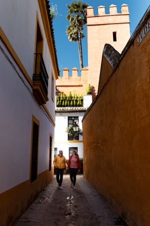 A narrow cobblestone alley in Seville with palm trees and castle-like towers visible above.
