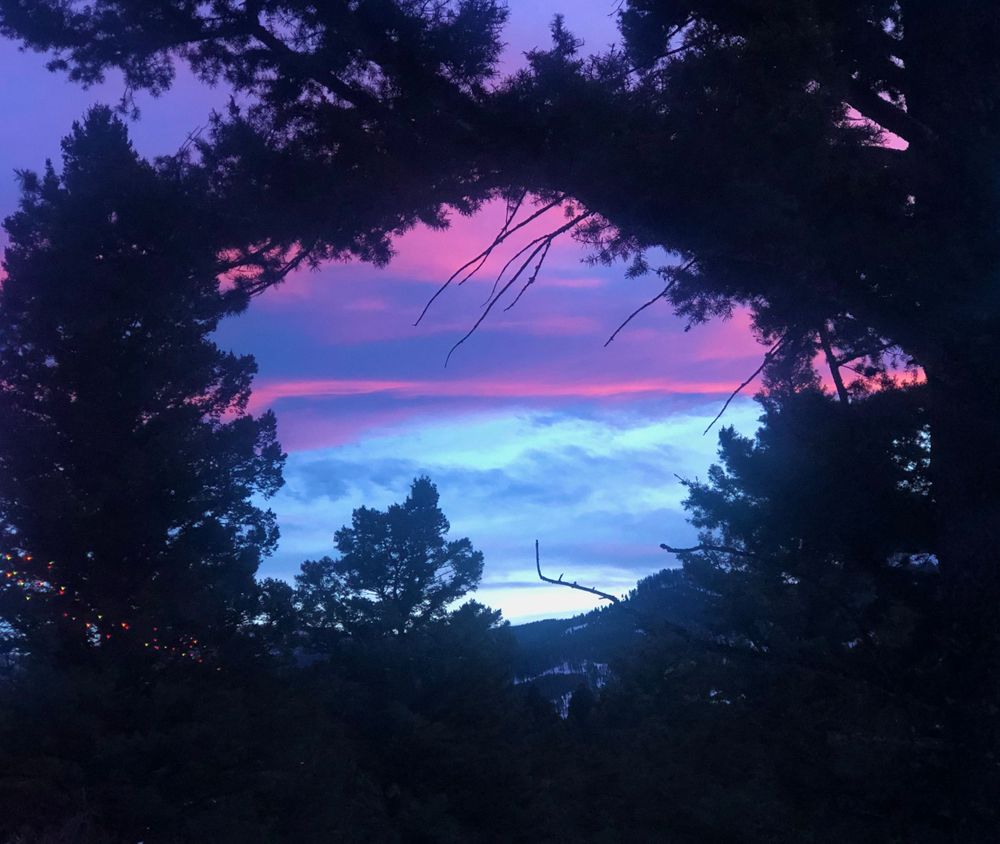 Purple and pink sunset sky framed by silhouetted pine trees in mountain landscape.
