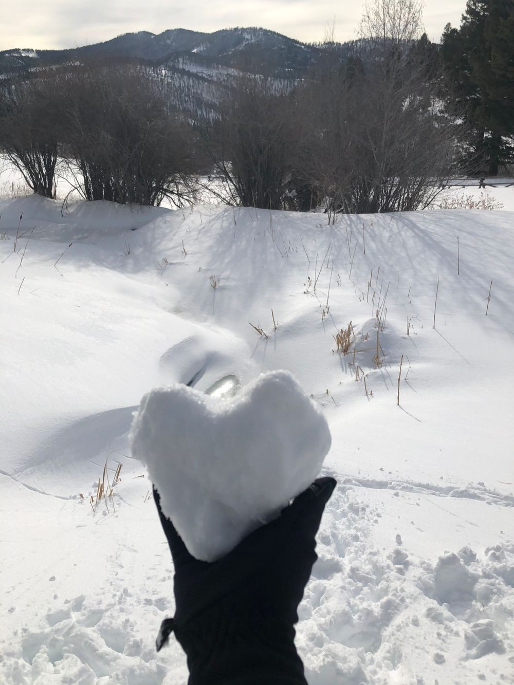 Hand holding heart-shaped snow against winter mountain landscape backdrop.