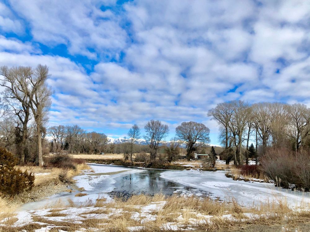 Frozen river winding through winter landscape with bare trees and cloudy blue sky.