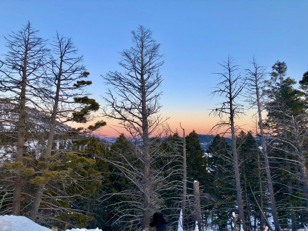 Silhouetted bare trees against a gradient sunset sky in a panoramic mountain landscape view.