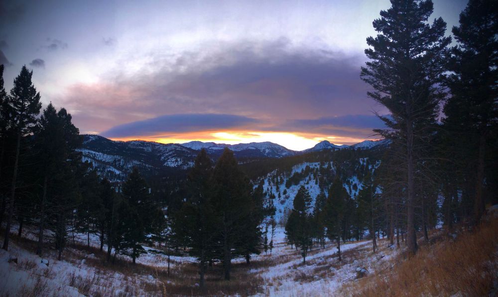 Panoramic winter sunset over snow-covered mountains with evergreen trees silhouetted against colorful sky.