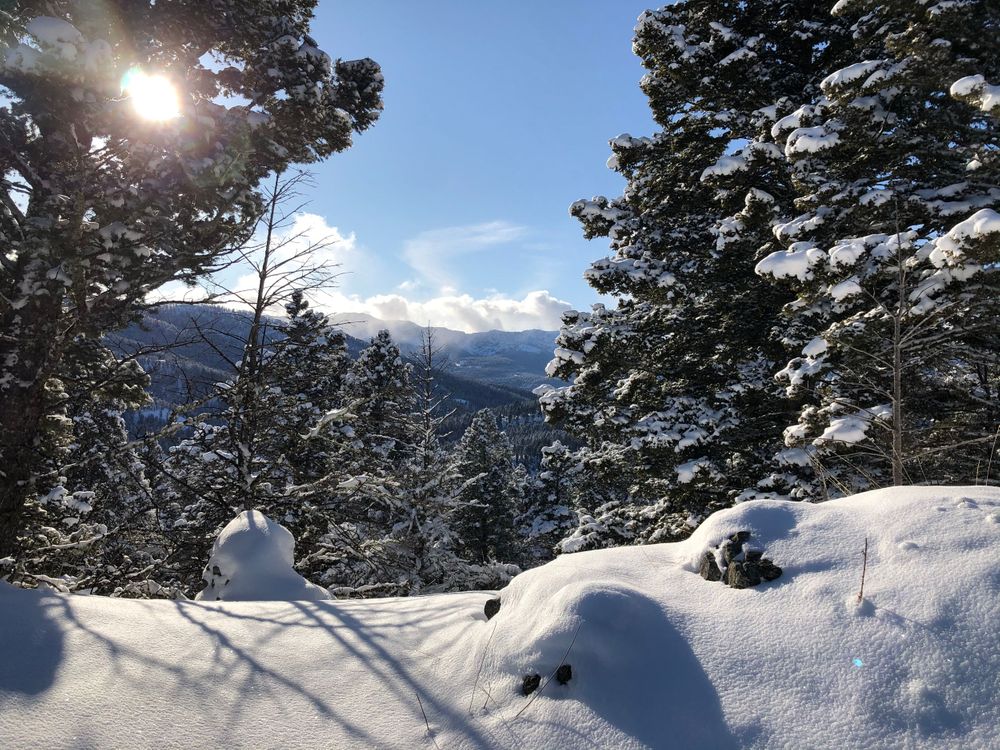 Sunlit winter mountain scene with snow-covered evergreen trees and bright blue sky.