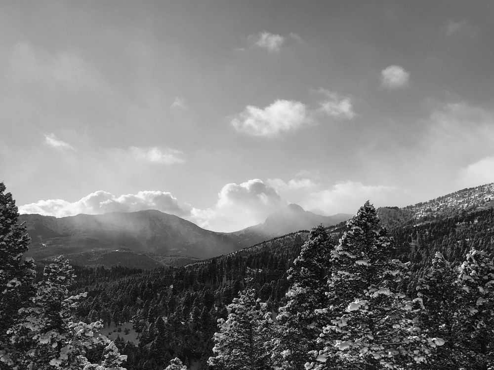 Black and white mountain landscape with snow-capped peaks and evergreen forest under cloudy skies.