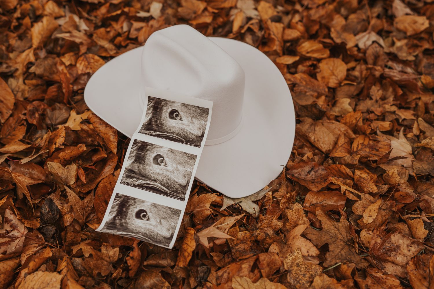 Ultrasound photos scattered among autumn leaves during pregnancy announcement shoot.