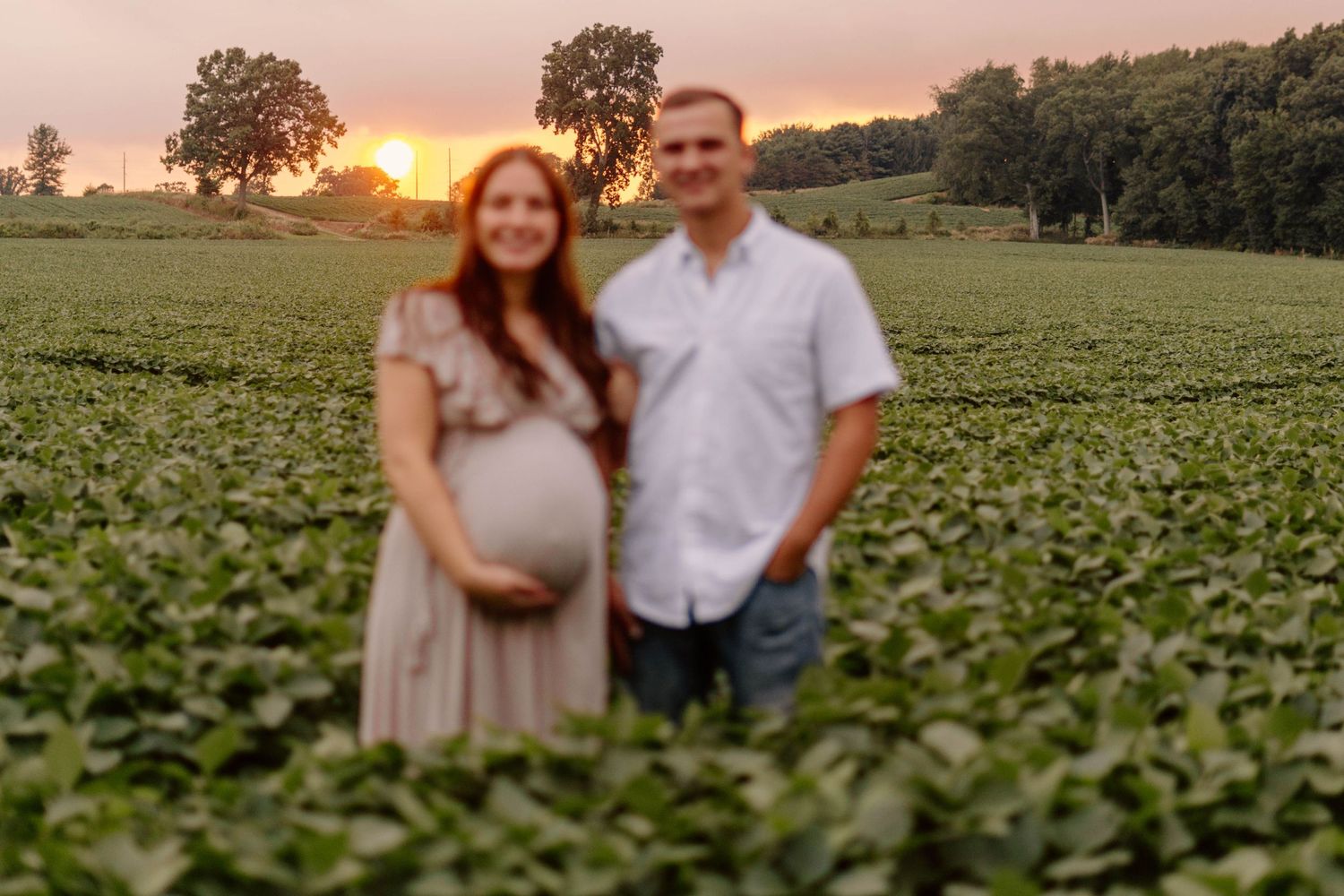 Expectant couple poses together in a vast soybean field at sunset.