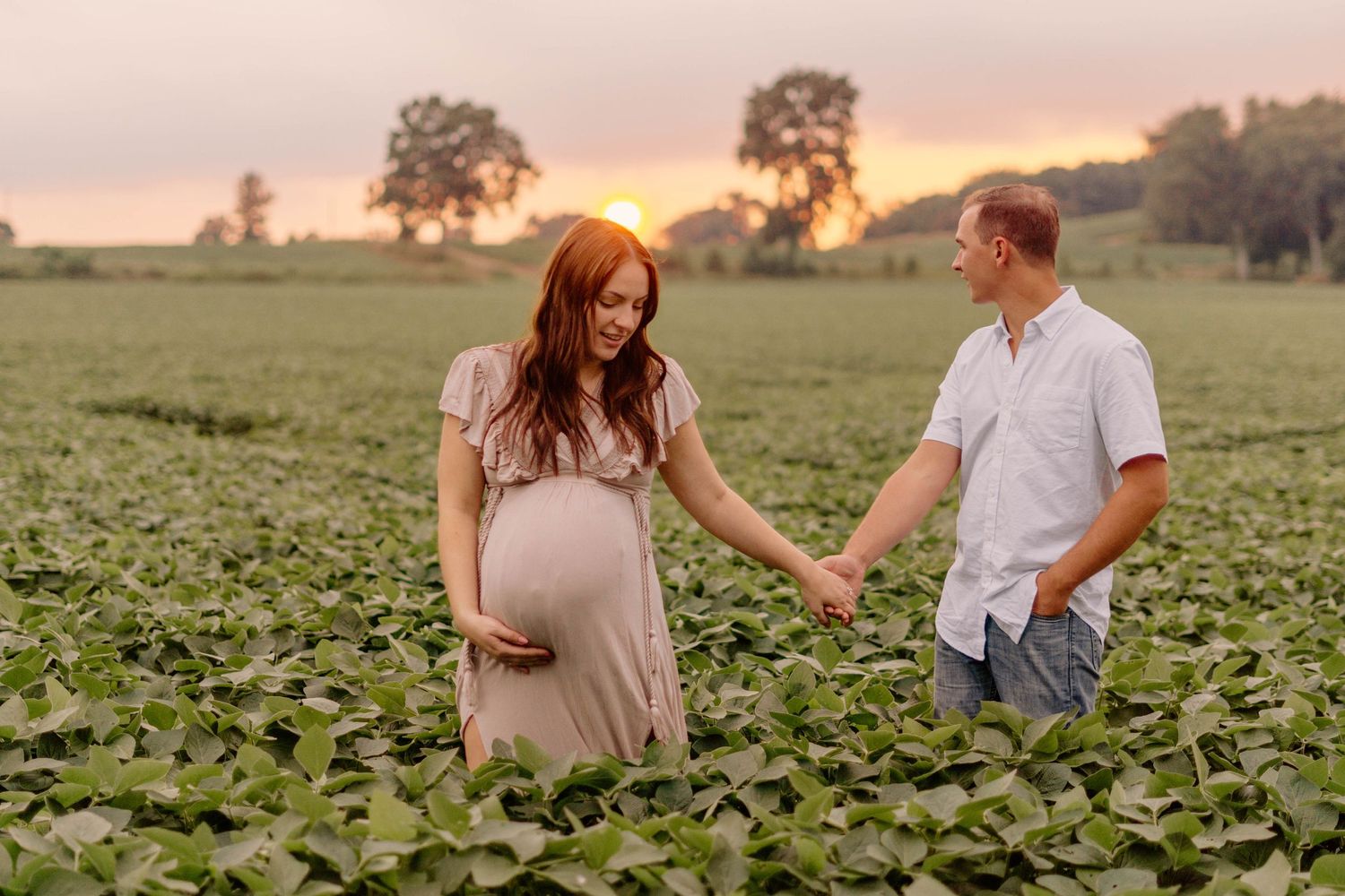 Romantic maternity photoshoot in a field with golden sunset lighting.