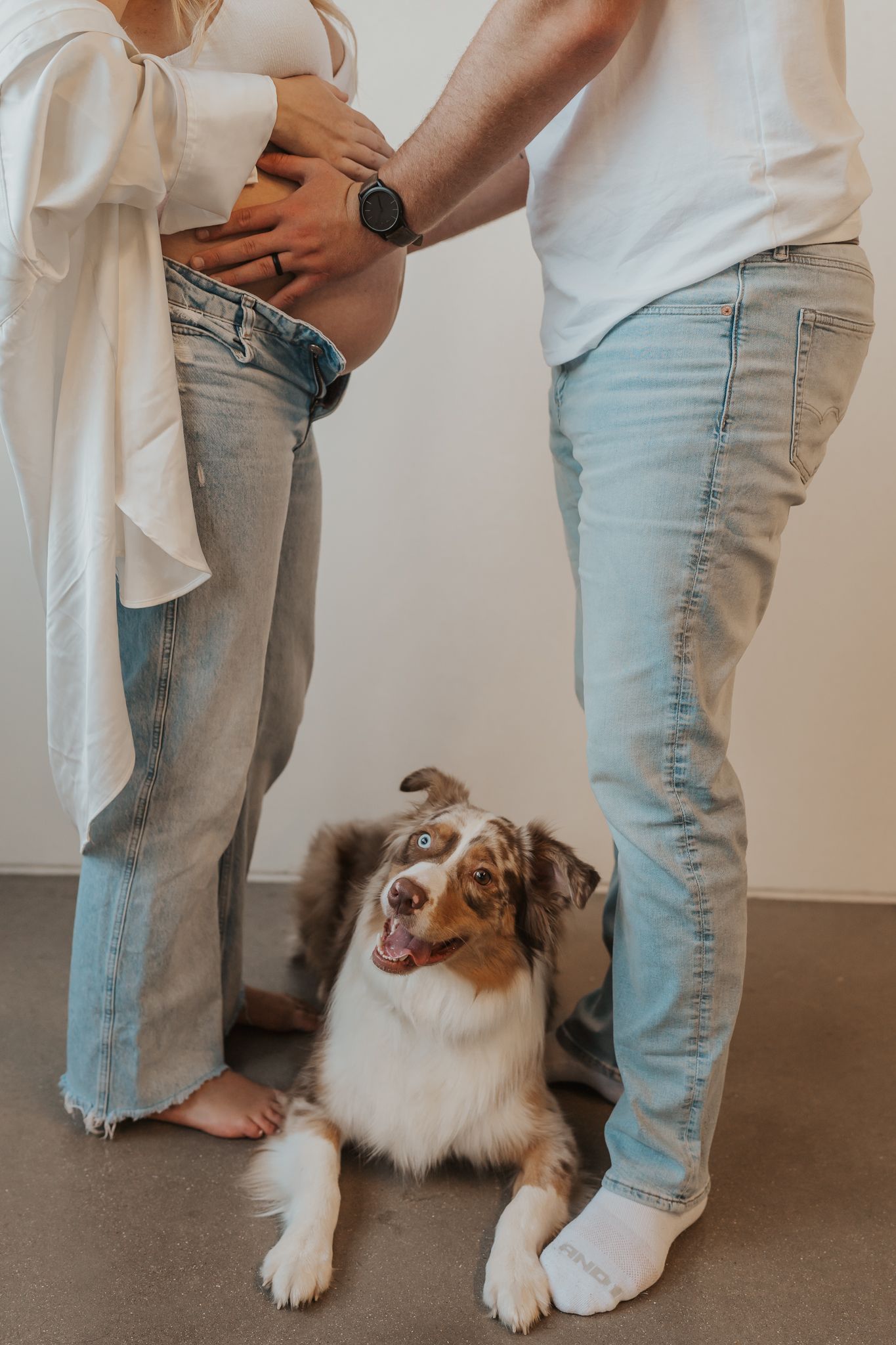 Happy Australian Shepherd dog lies between couple showing pregnant belly in casual studio maternity photo.