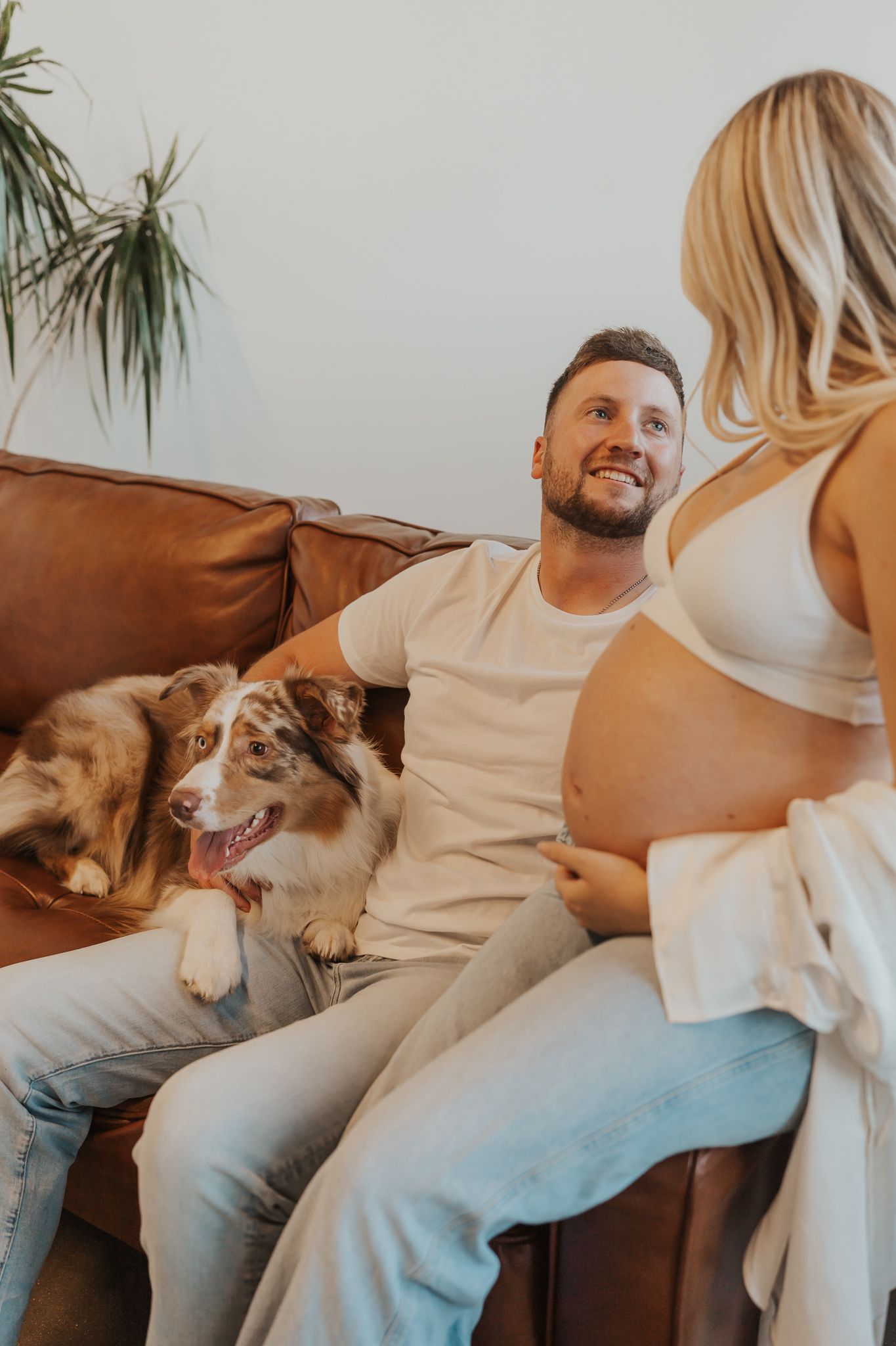 Casual Jackson Michigan maternity photo on leather couch with Australian Shepherd dog and expecting parents.