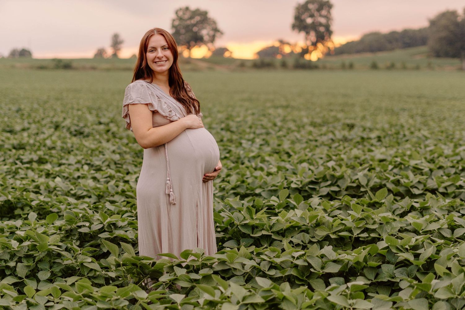 Maternity photo session in a lush green soybean field during golden hour.