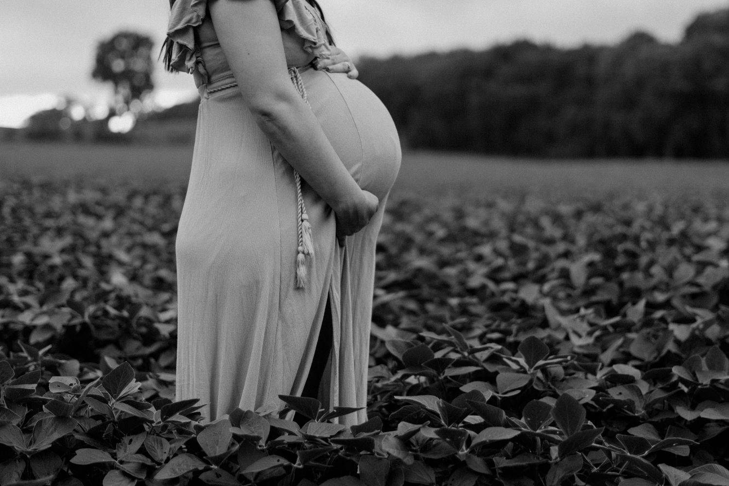 Black and white maternity portrait in a rural agricultural field.