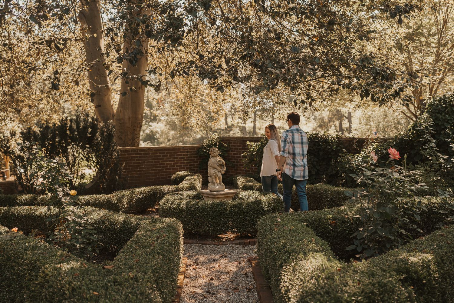 Sunlit garden scene with flowering trees and manicured hedges.