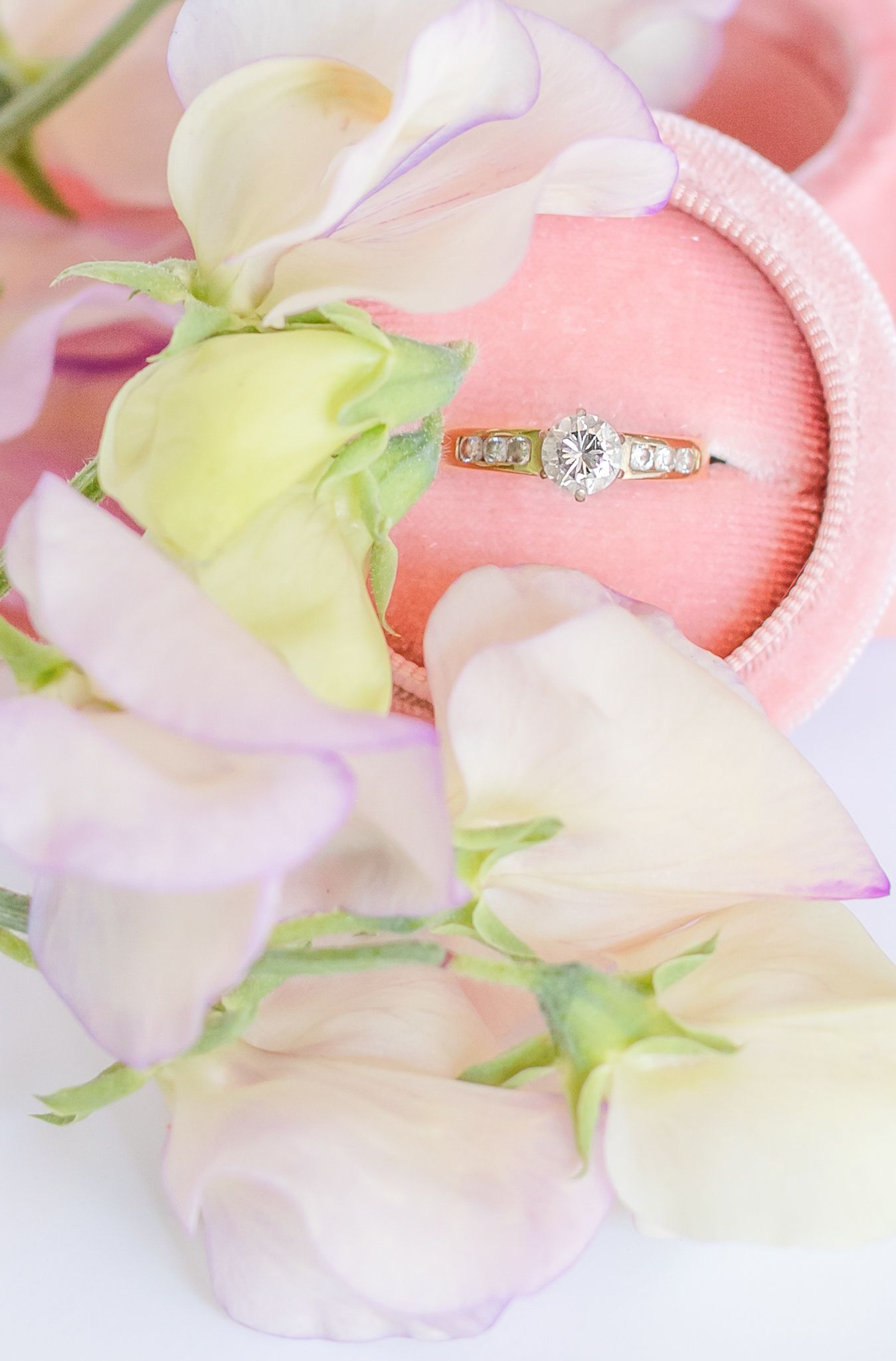 Sweet Pea Close up with a Wedding Ring