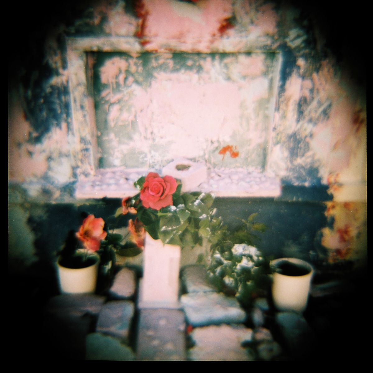 Red roses in pots against distressed wall captured with vintage camera effect.