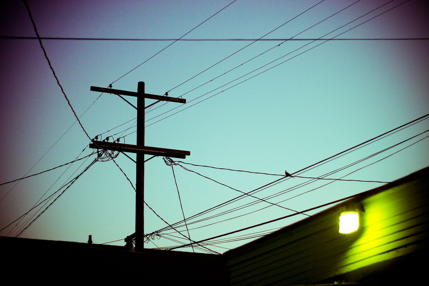 Power lines and utility pole silhouetted against a teal sky with a glowing yellow light on a building.