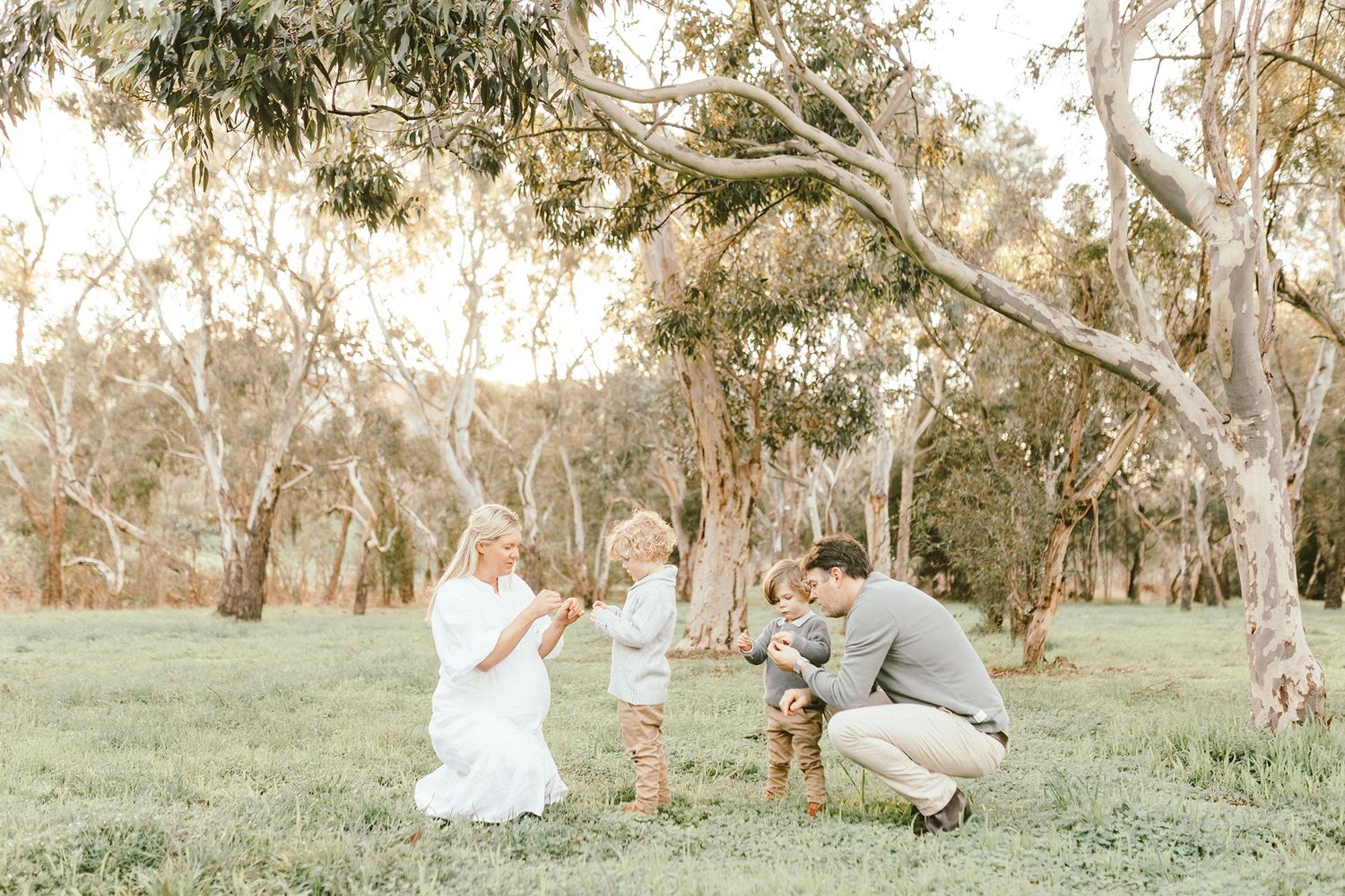 Family playing together in a scenic eucalyptus grove during golden hour.
